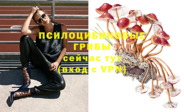 СК Кинешма