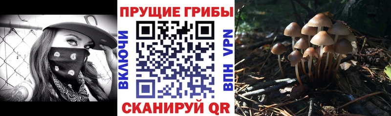 Псилоцибиновые грибы мицелий Верхний Уфалей