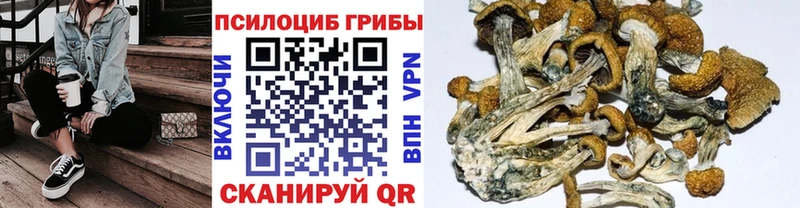 Купить  Верхний Уфалей  Псилоцибиновые грибы MAGIC MUSHROOMS 